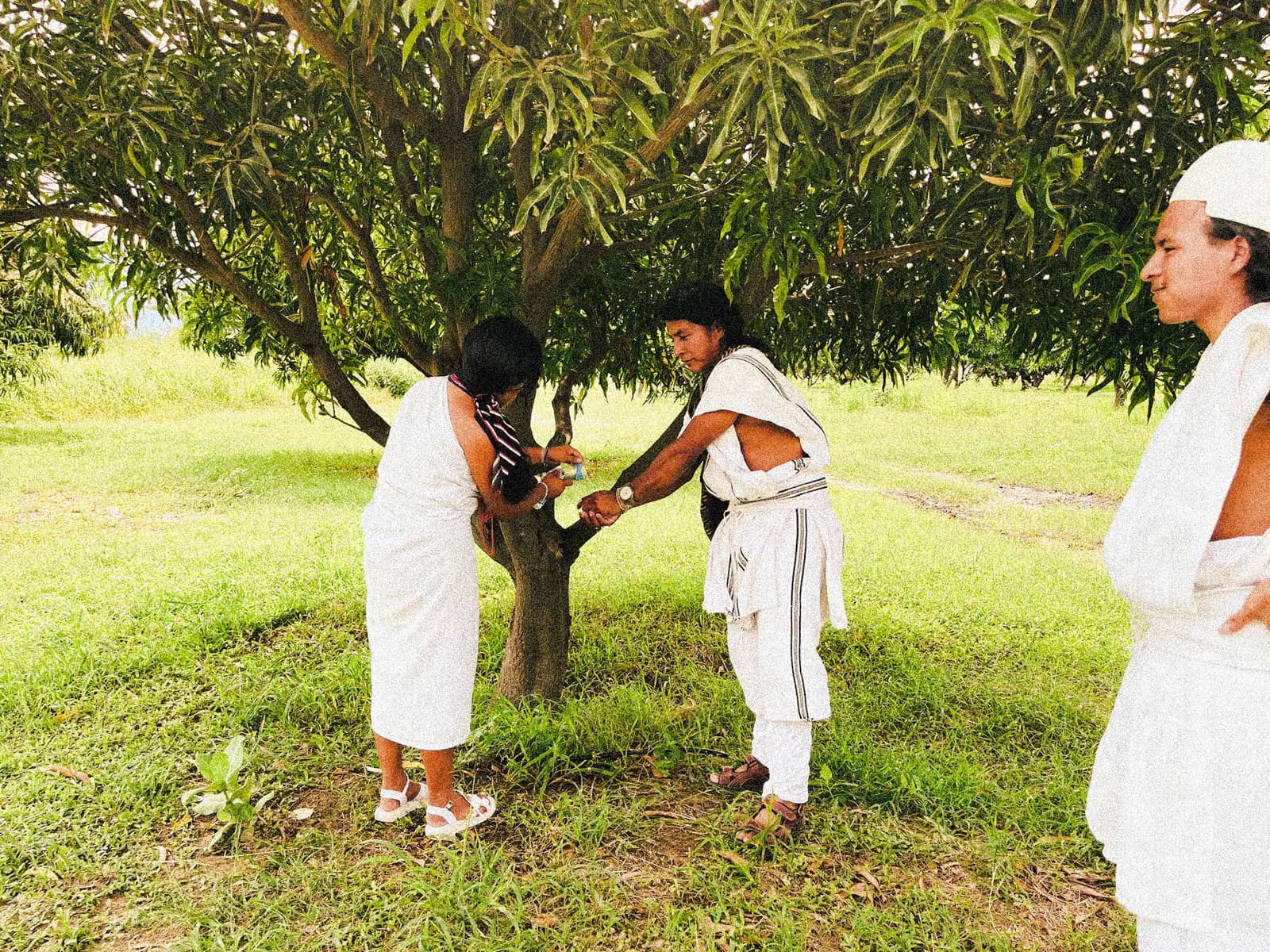 Integrantes de un semillero junto a un árbol en su territorio