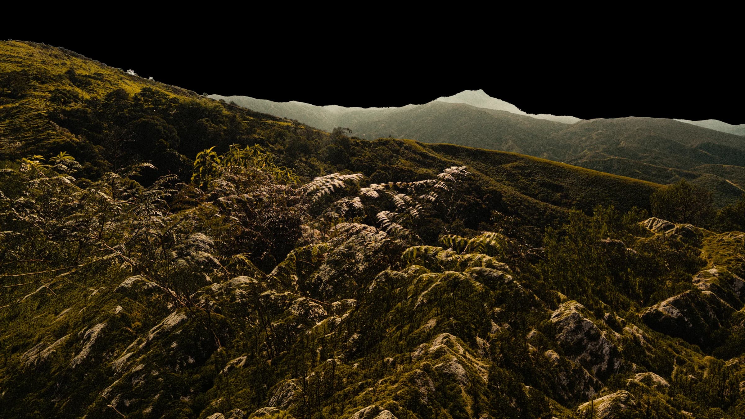 Vegetación de la Sierra Nevada