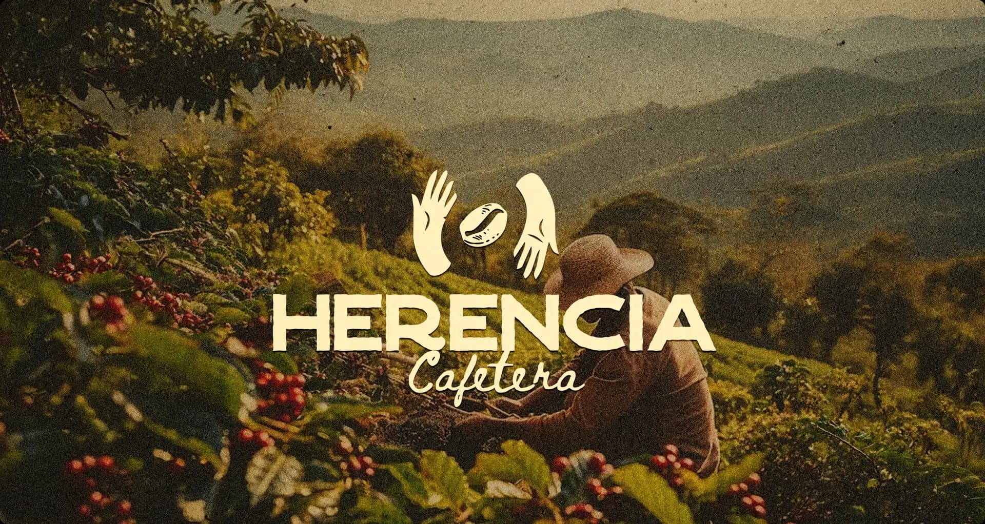 Herencia Cafetera: caficultor recolectando café en las montañas del Magdalena